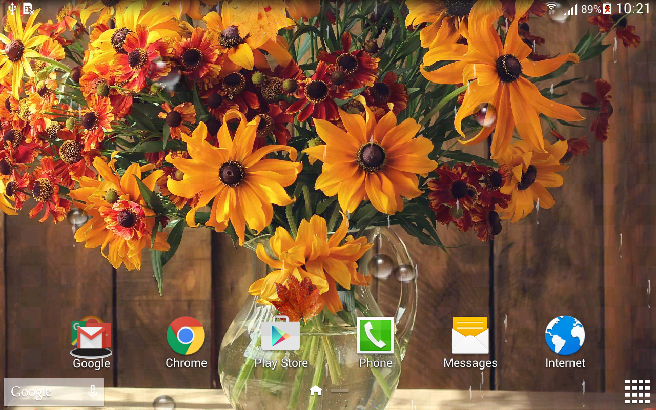 fond d'écran en direct d'automne,fleur,tournesol,fleurs coupées,jaune,plante