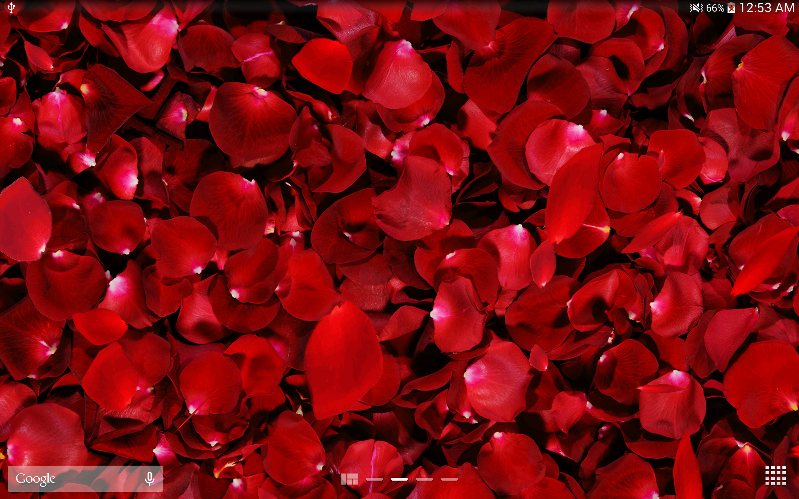 3d fiore live wallpaper,rosso,petalo,rosa,cuore,san valentino