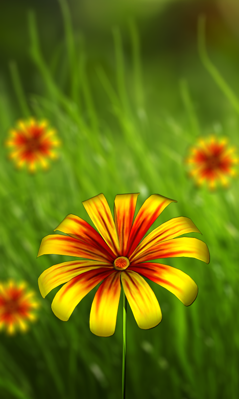 3d blume live wallpaper,blume,blühende pflanze,natur,blütenblatt,pflanze