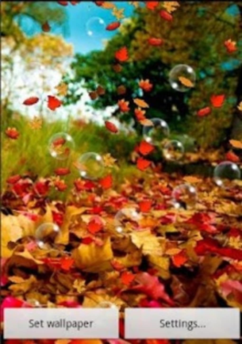 otoño live wallpaper,evento