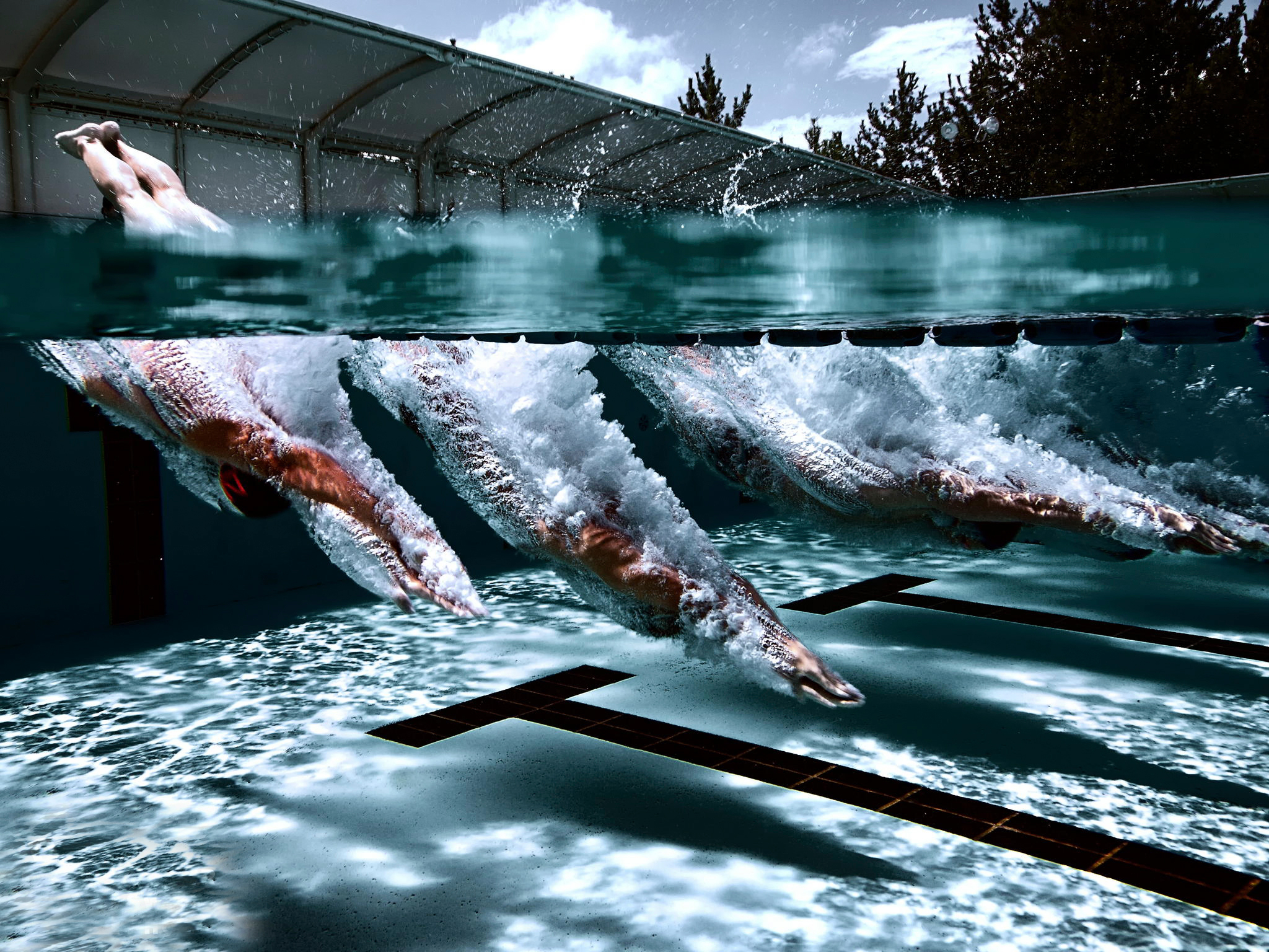 papel tapiz de natación,agua,ola,fotografía,invierno,captura de pantalla