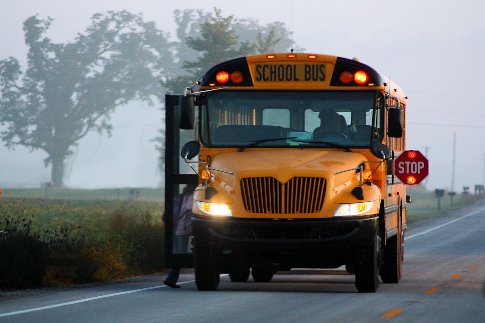 fond d'écran de bus,véhicule terrestre,véhicule,bus scolaire,autobus,véhicule à moteur