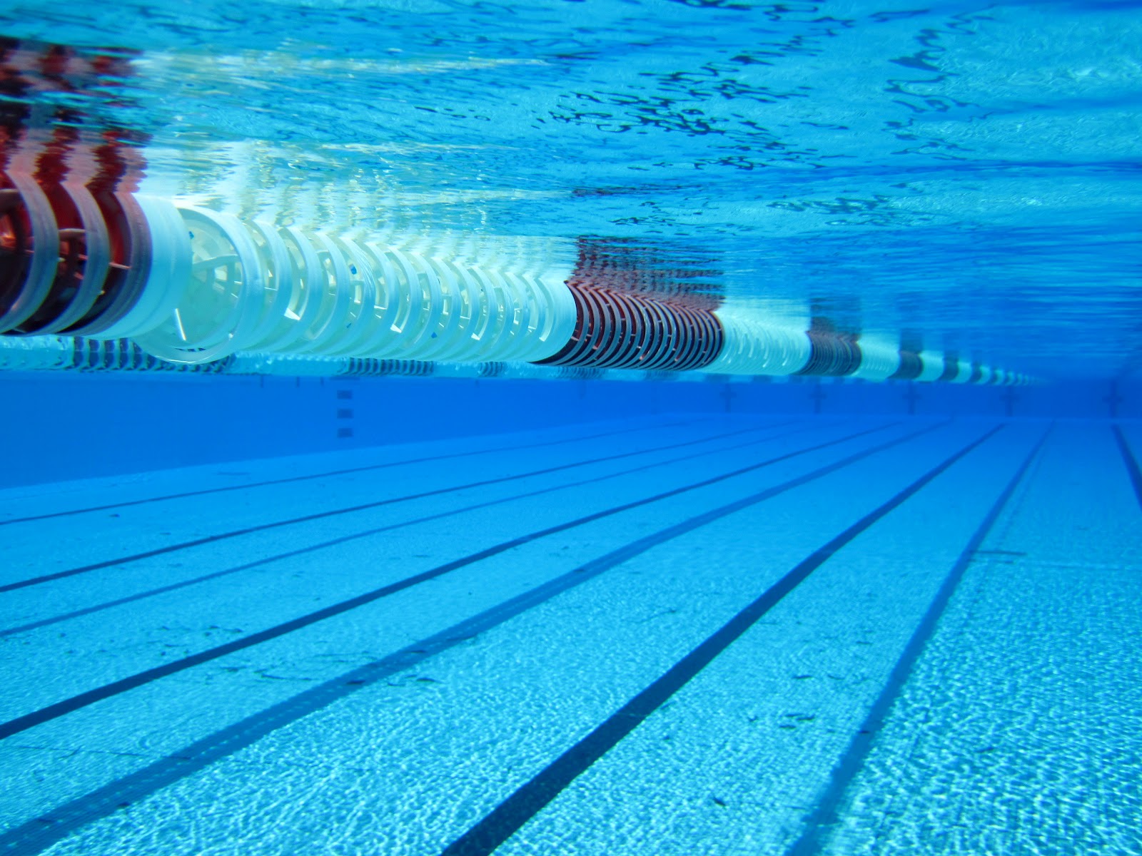 papel tapiz de natación,piscina,agua,nadando,centro de ocio,nadador
