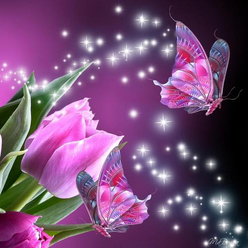 mariposa 3d live wallpaper,rosado,mariposa,insecto,flor,violeta