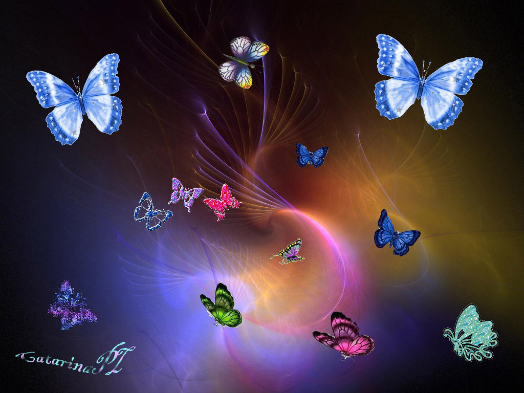 3d papillon fond d'écran en direct,papillon,insecte,papillons et papillons,rose,ciel