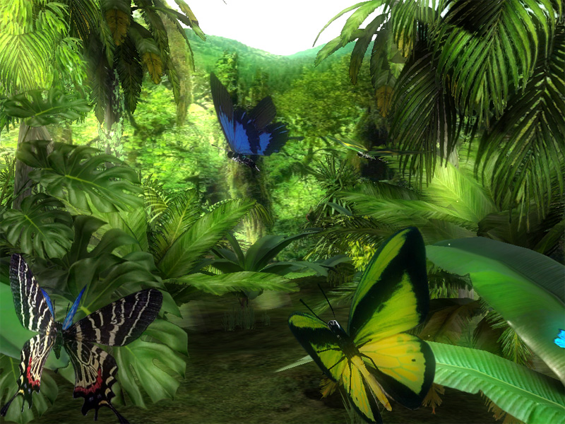 3d 나비 라이브 배경 화면,자연,밀림,나비,열대 우림,곤충