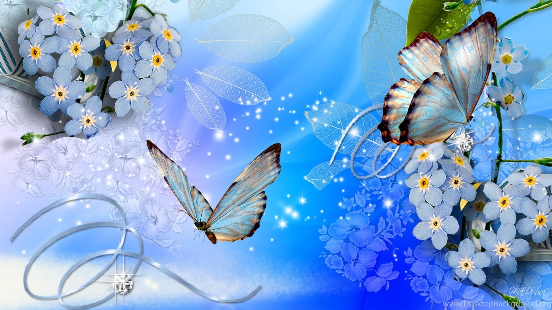 3dバタフライライブ壁紙,バタフライ,青い,昆虫,蛾と蝶,春