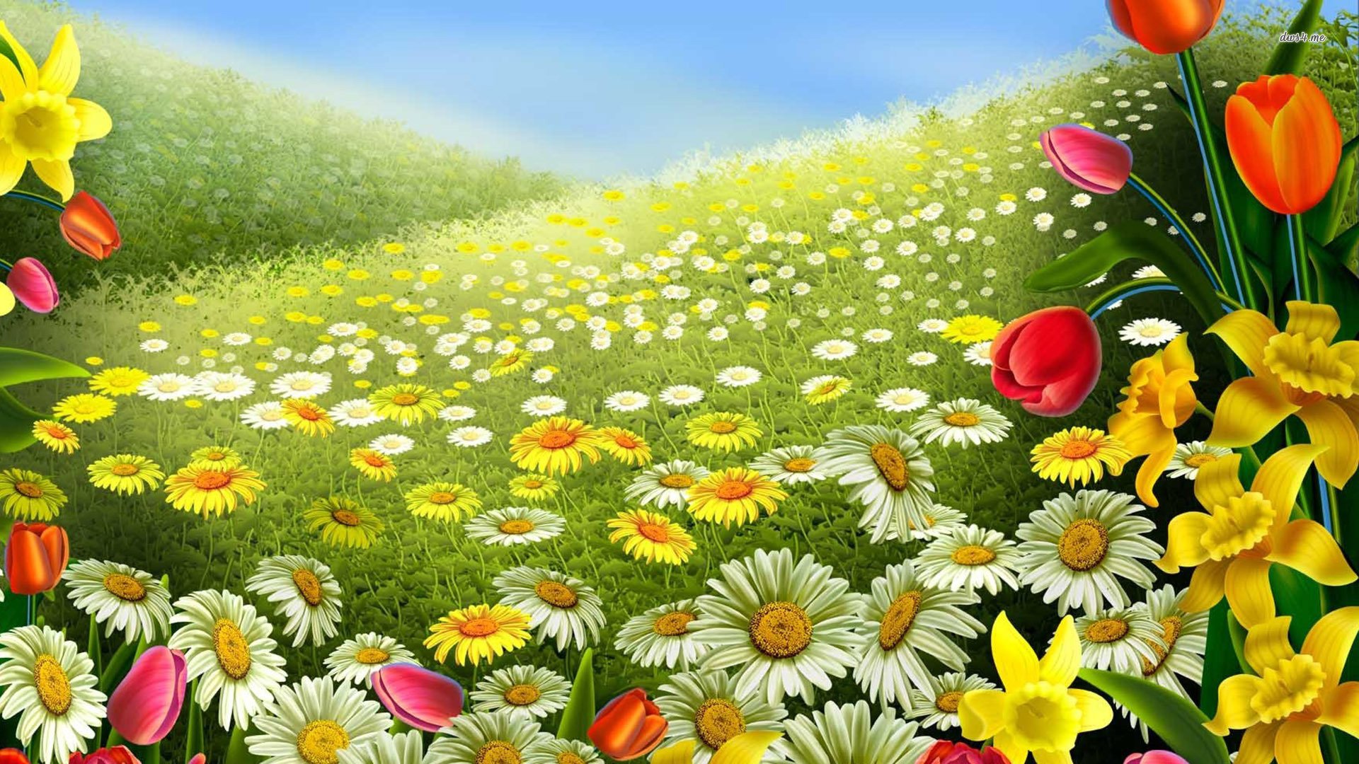 fiore live wallpaper hd,paesaggio naturale,prato,fiore,fiore di campo,primavera