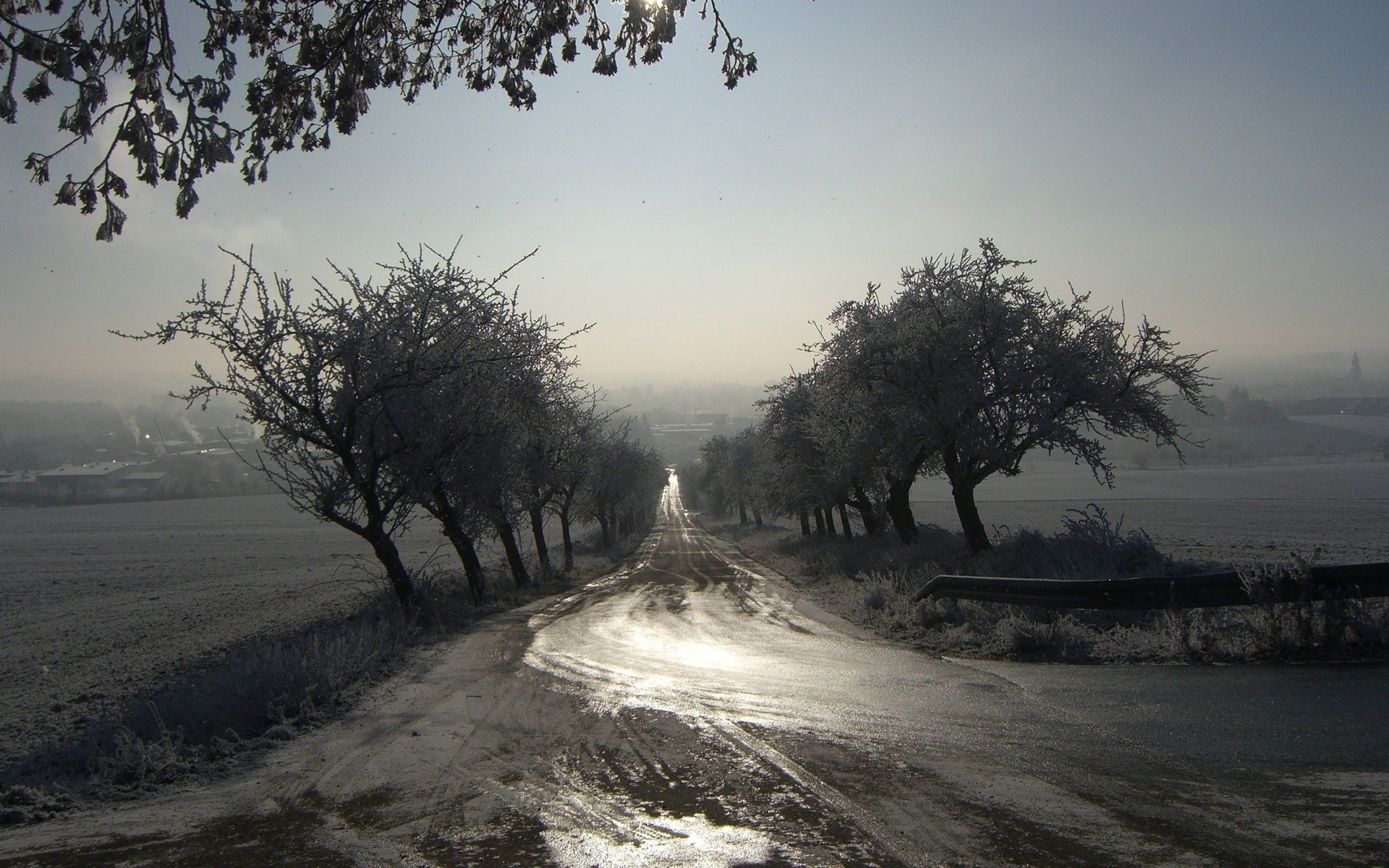 壁紙de,自然,自然の風景,空,木,道路