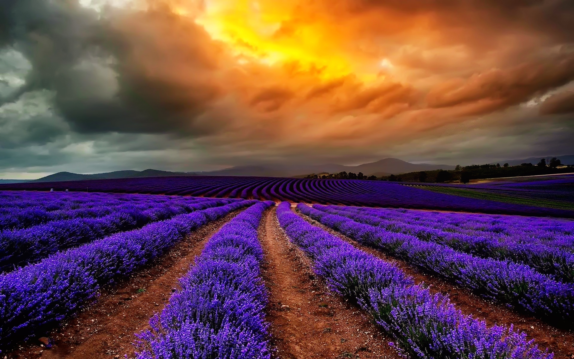 wallpaper de,lavender,sky,natural landscape,nature,purple