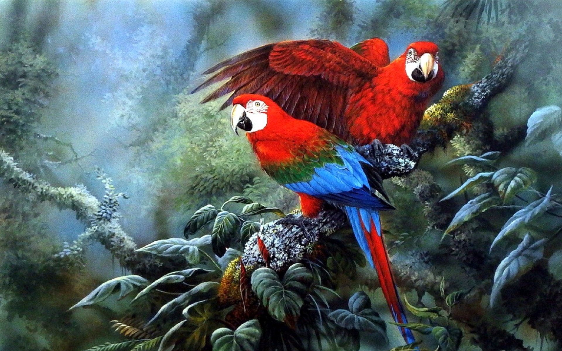 wallpaper de,bird,macaw,vertebrate,parrot,organism