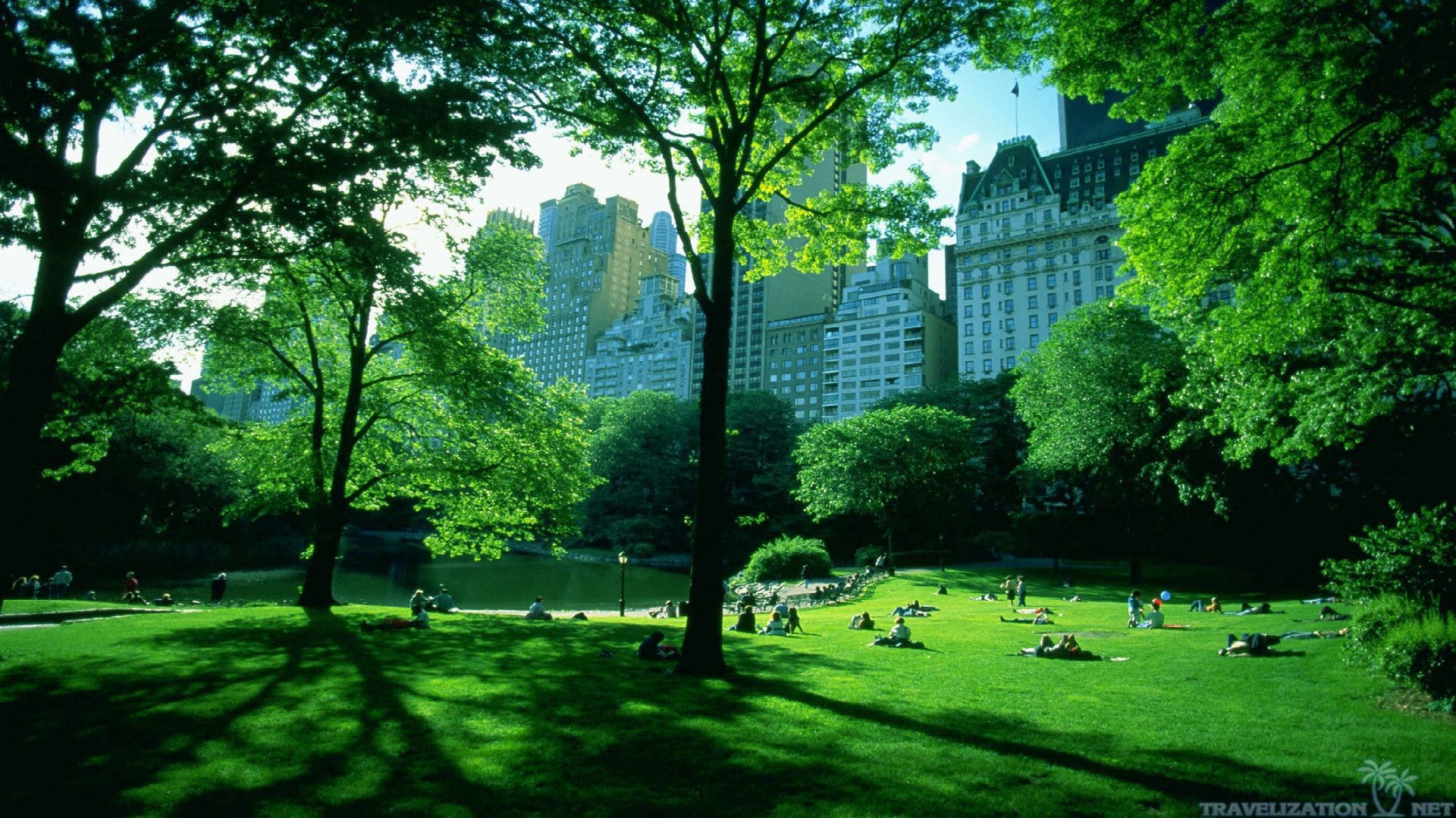 公園の壁紙,緑,自然,自然の風景,木,草