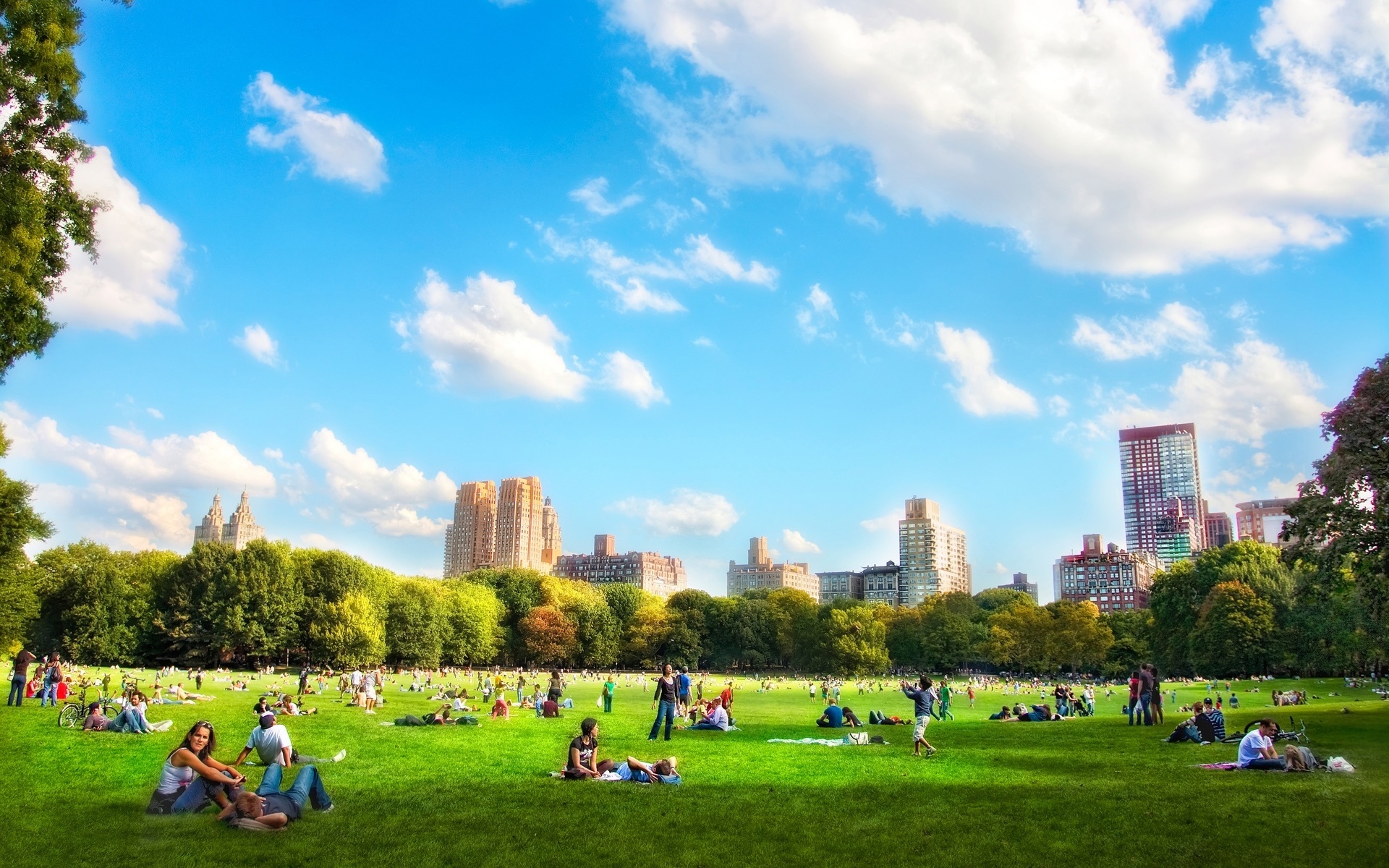 park wallpaper,himmel,tagsüber,natur,gras,stadt