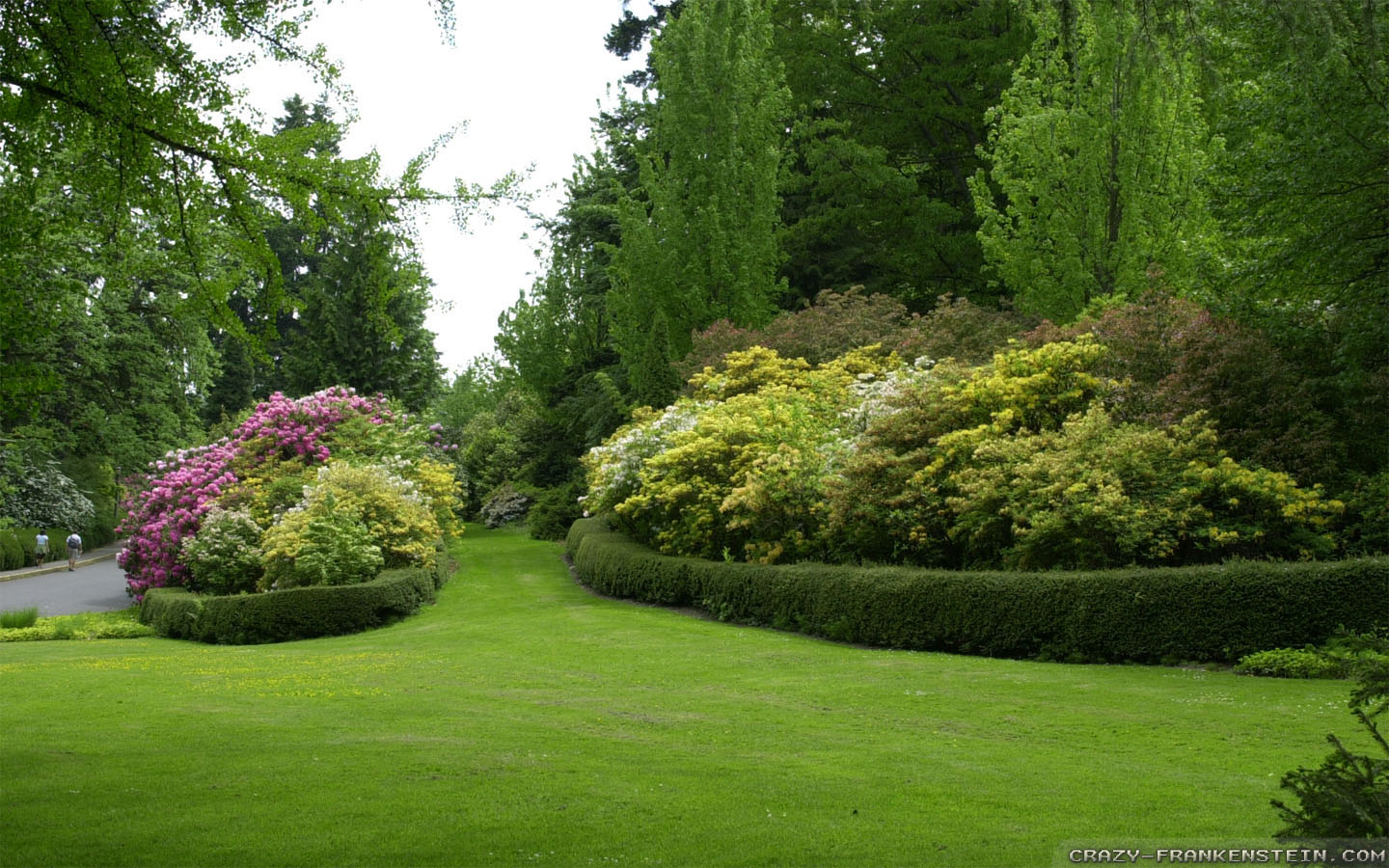 park wallpaper,natural landscape,garden,nature,tree,lawn