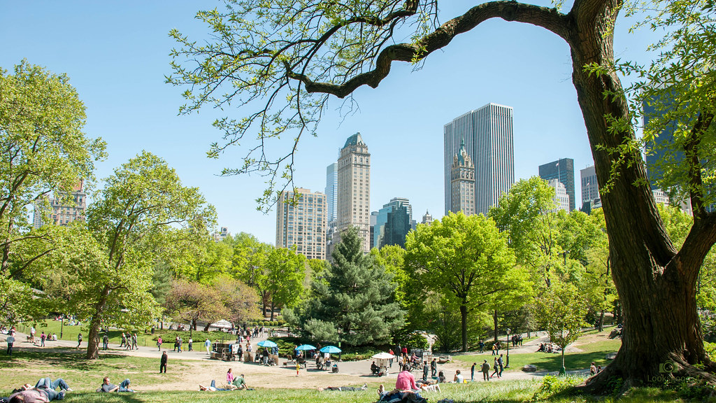 park wallpaper,metropolregion,stadt,tagsüber,wolkenkratzer,stadtgebiet