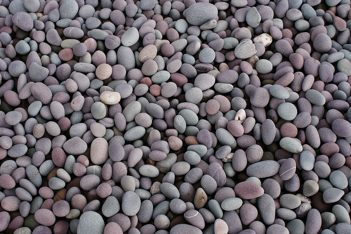pebble wallpaper,pebble,gravel,rock,plant,pattern