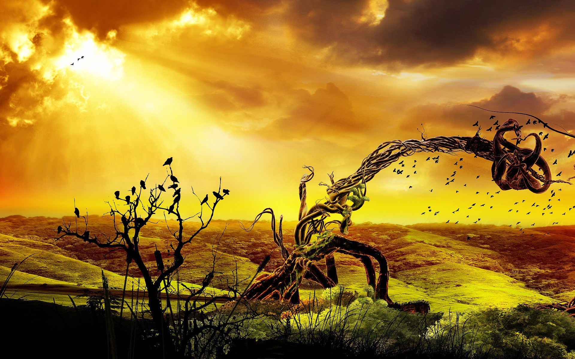 애니메이션 배경 화면 hd,자연,자연 경관,하늘,노랑,나무