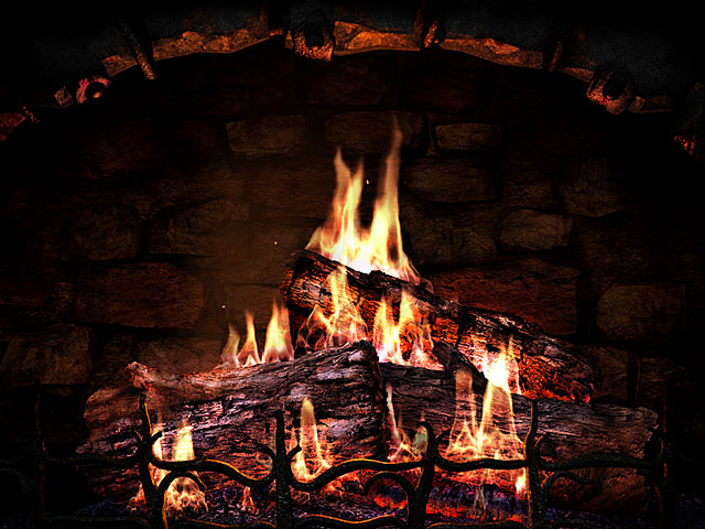 火ライブ壁紙,火,火炎,熱,囲炉裏,たき火