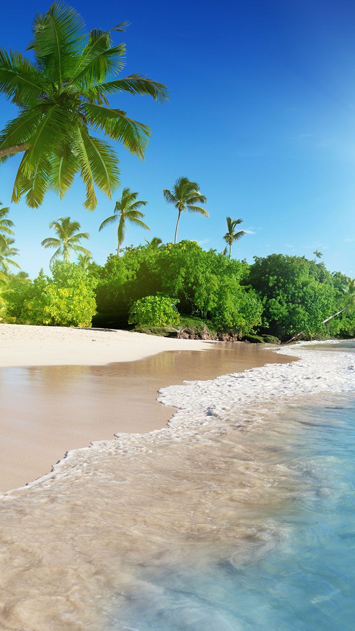 해변 라이브 배경 화면,자연,수자원,자연 경관,육지,카리브해