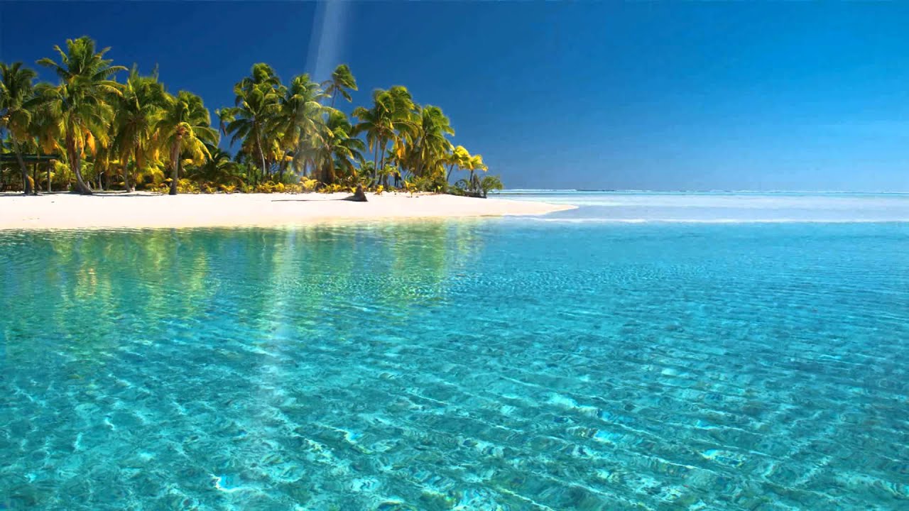 playa de pantalla en vivo,paisaje natural,mar,oceano,caribe,cielo