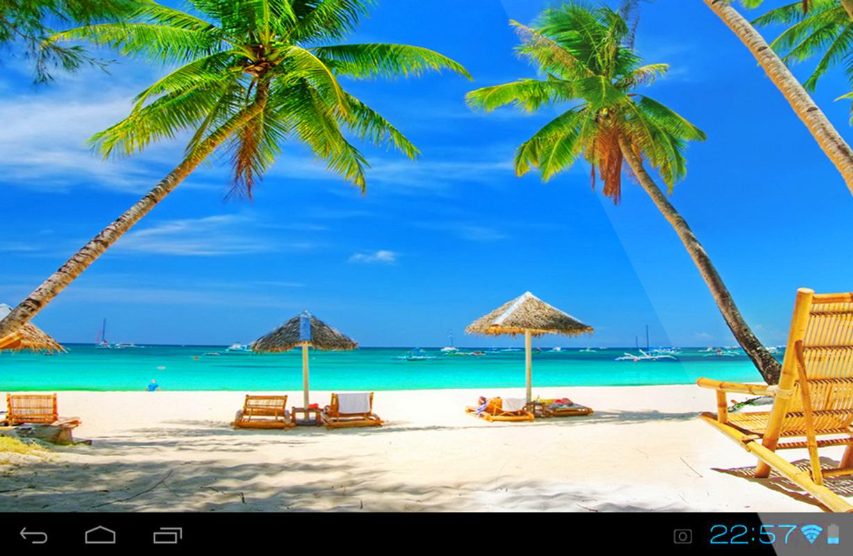 beach live wallpaper,nature,tropics,vacation,caribbean,palm tree