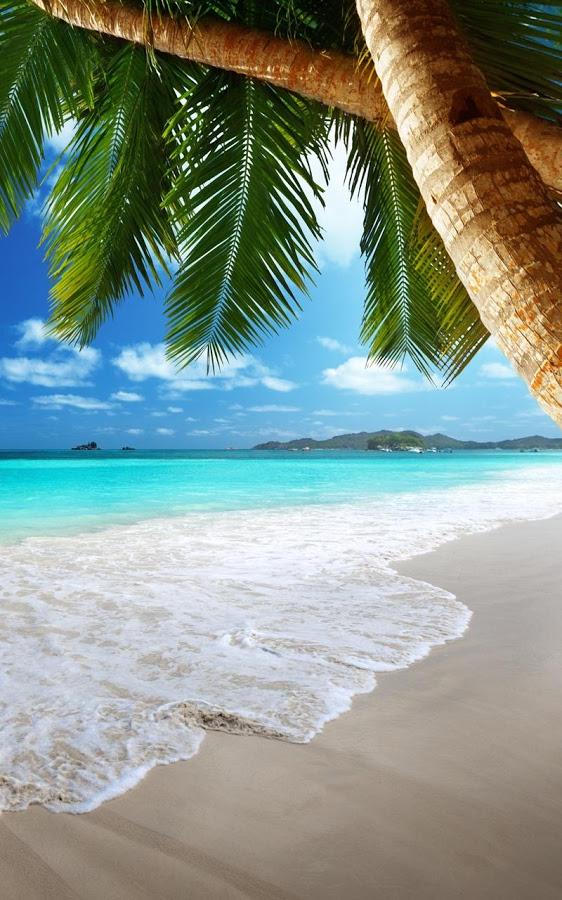 playa de pantalla en vivo,naturaleza,playa,cielo,caribe,apuntalar