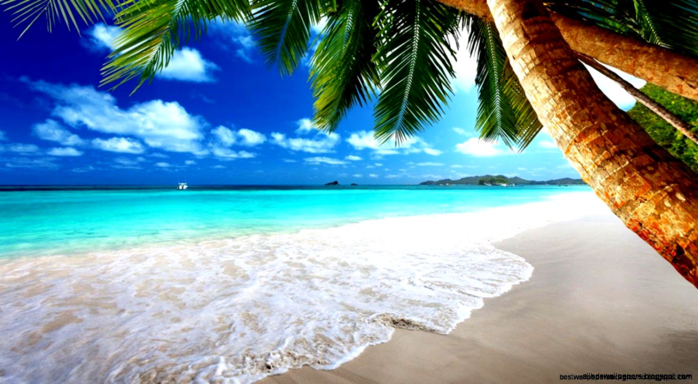 beach live wallpaper,body of water,nature,tropics,beach,shore