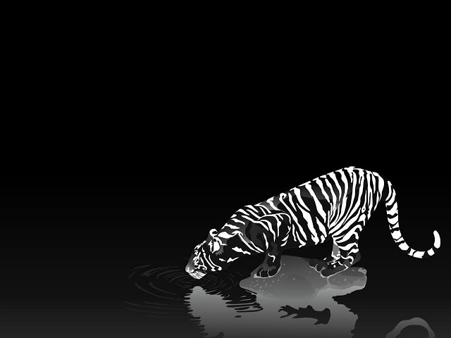 schwarze 3d tapete,bengalischer tiger,schwarz,tierwelt,tiger,sibirischer tiger