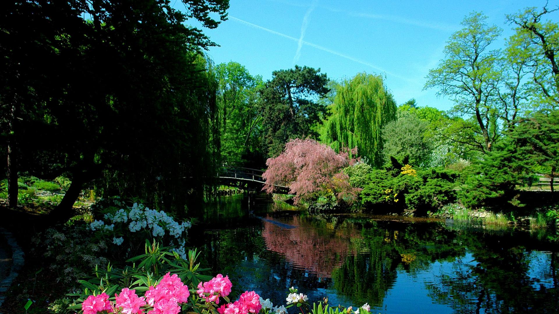 posizionare lo sfondo,paesaggio naturale,natura,riflessione,giardino,giardino botanico