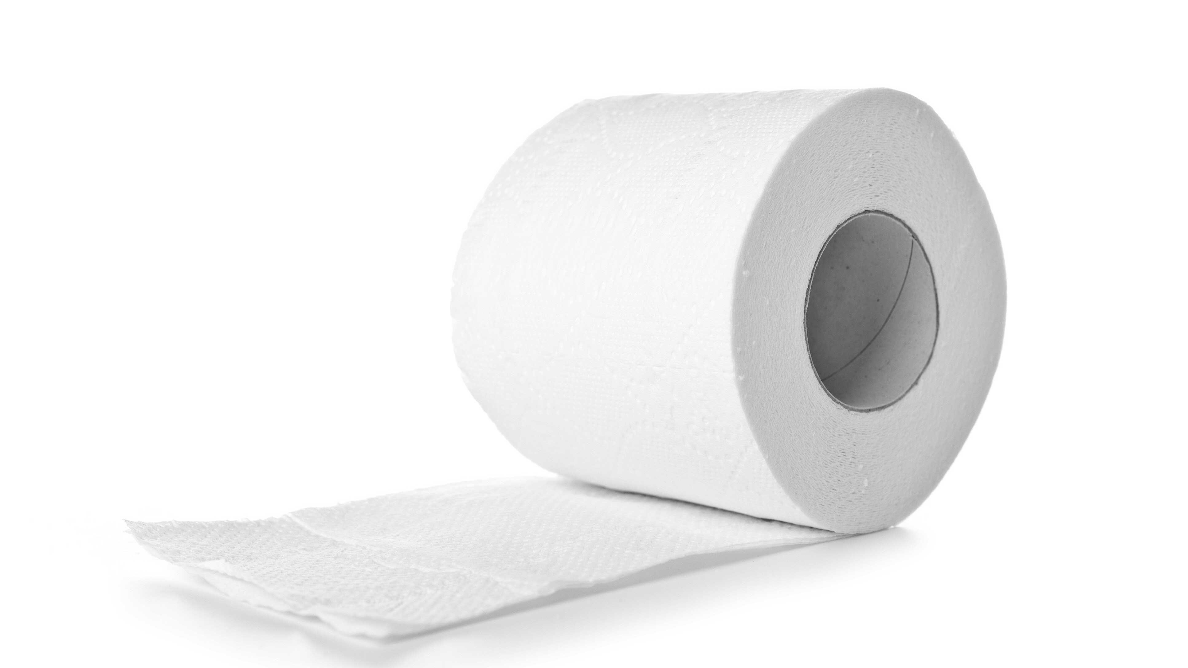 Toilet Wallpaper white toilet Paper paper product gaffer Tape 138328 toilet-wallpaper-white-toilet-paper-paper-product-gaffer-tape-138328