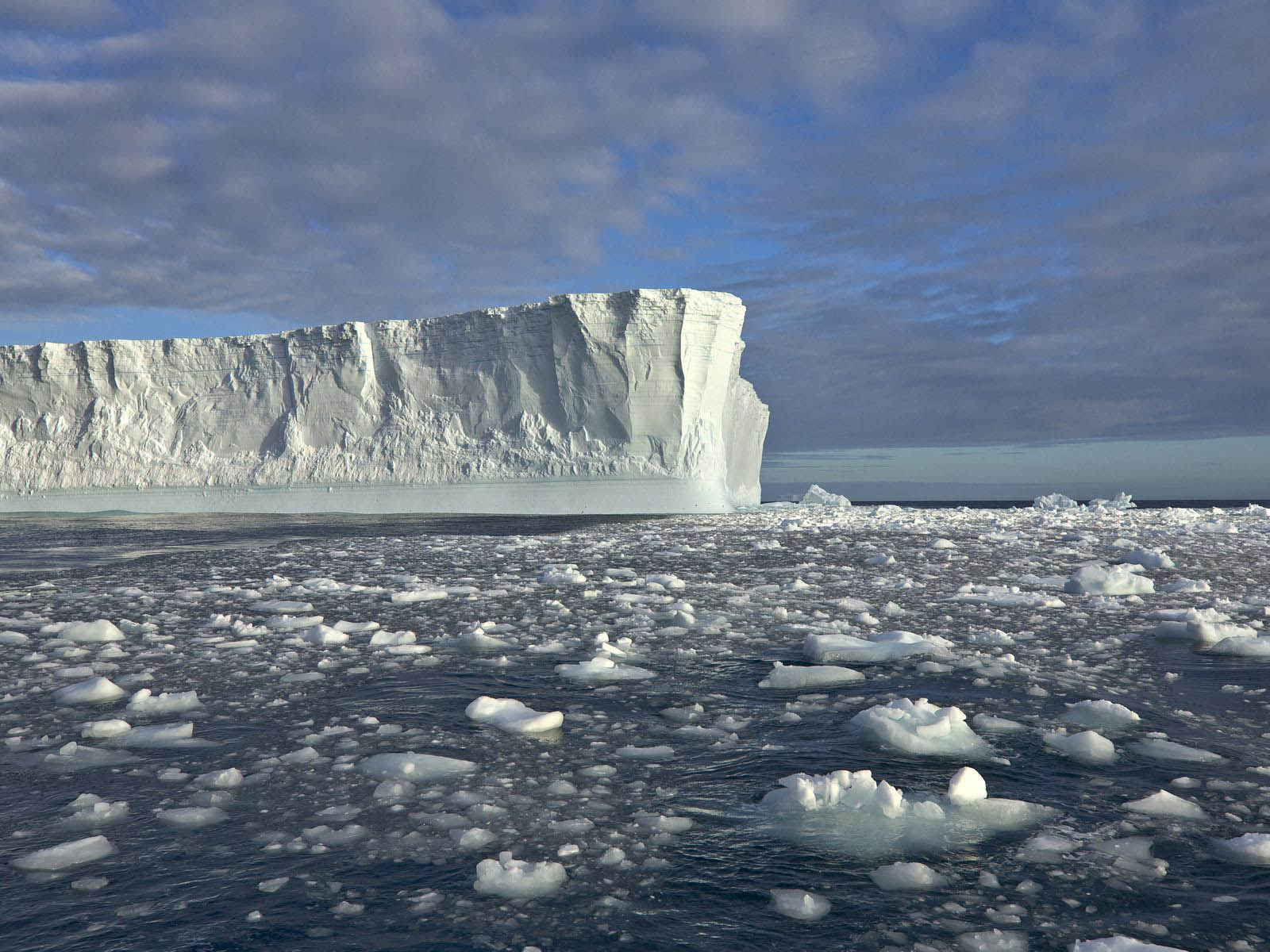 얼음 벽지,빙,빙산,녹는,북극,북극해