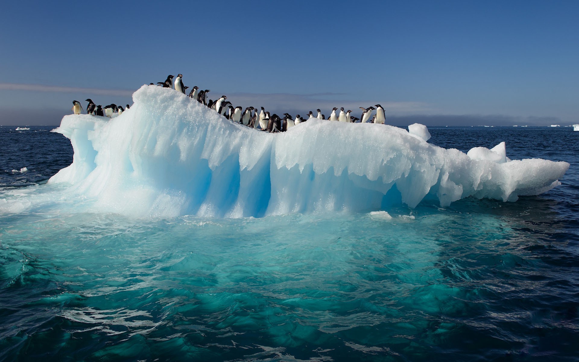 carta da parati di ghiaccio,iceberg,ghiaccio,oceano,oceano artico,artico