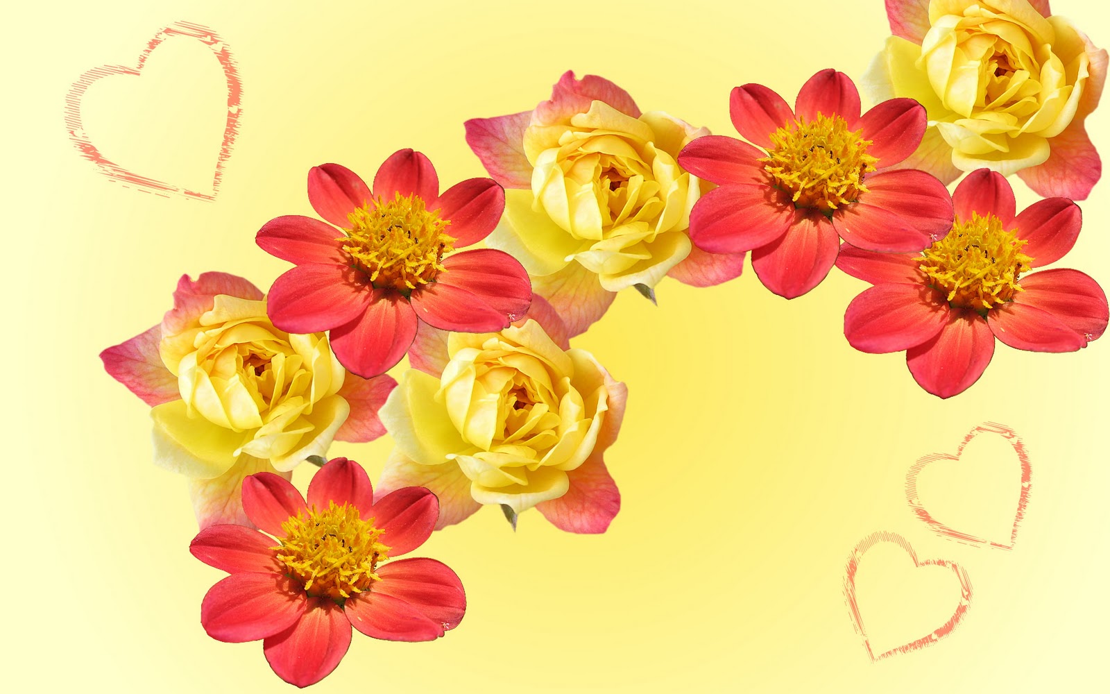 wallpaper de flores,flower,petal,pink,yellow,plant