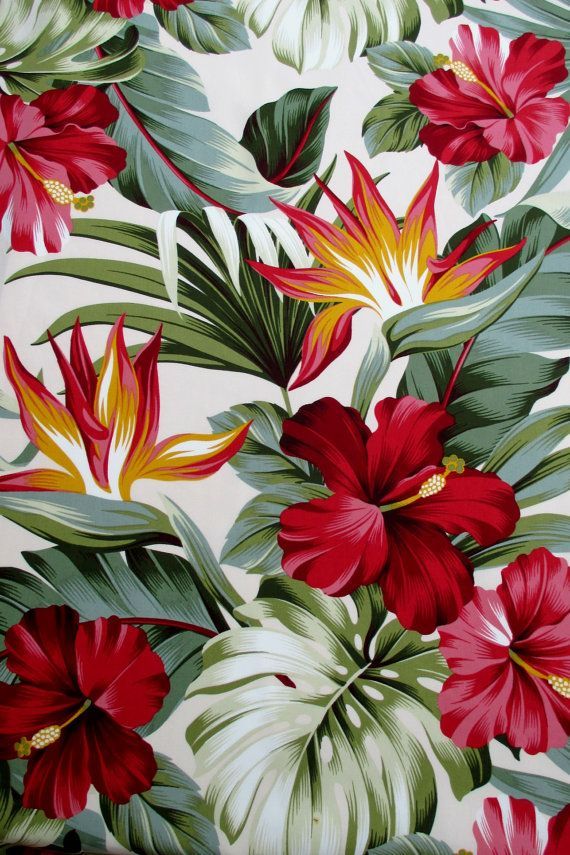 fond d'écran de flores,fleur,plante à fleurs,plante,hibiscus hawaïen,rouge