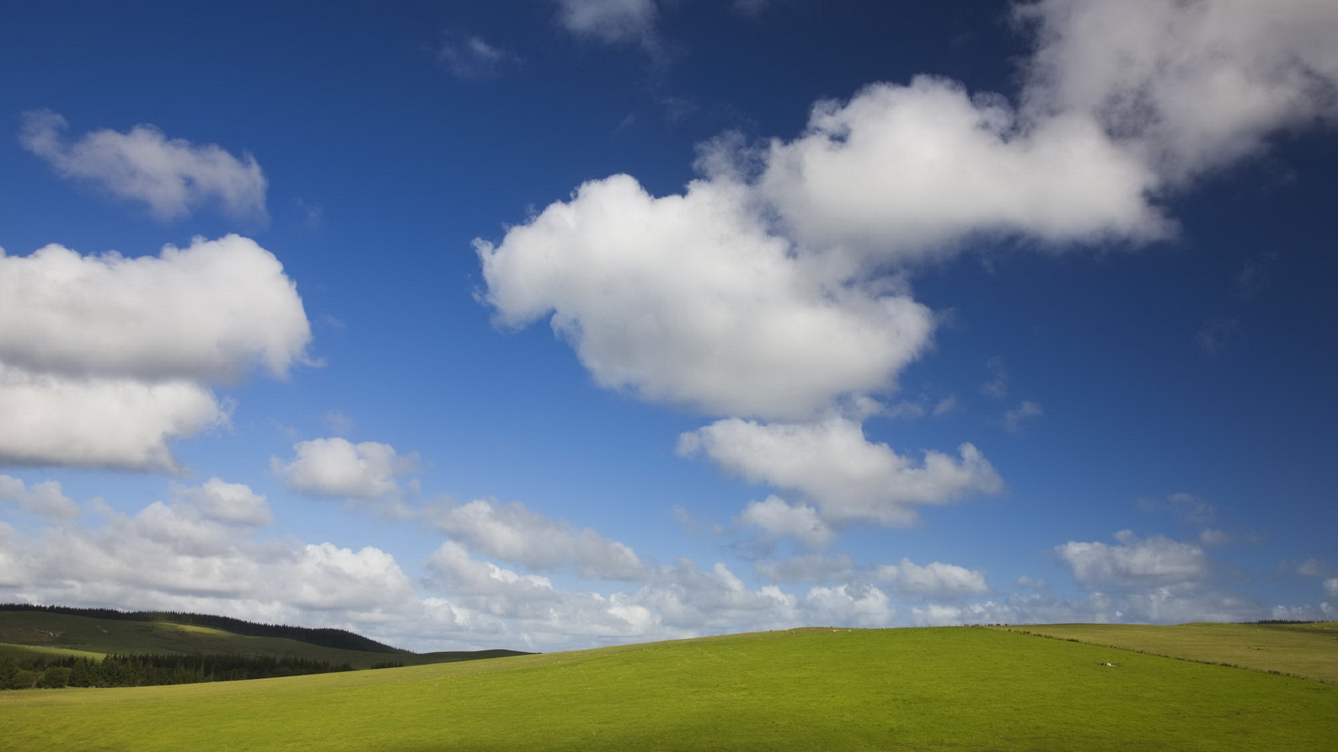 シエロの壁紙,空,雲,草原,青い,昼間