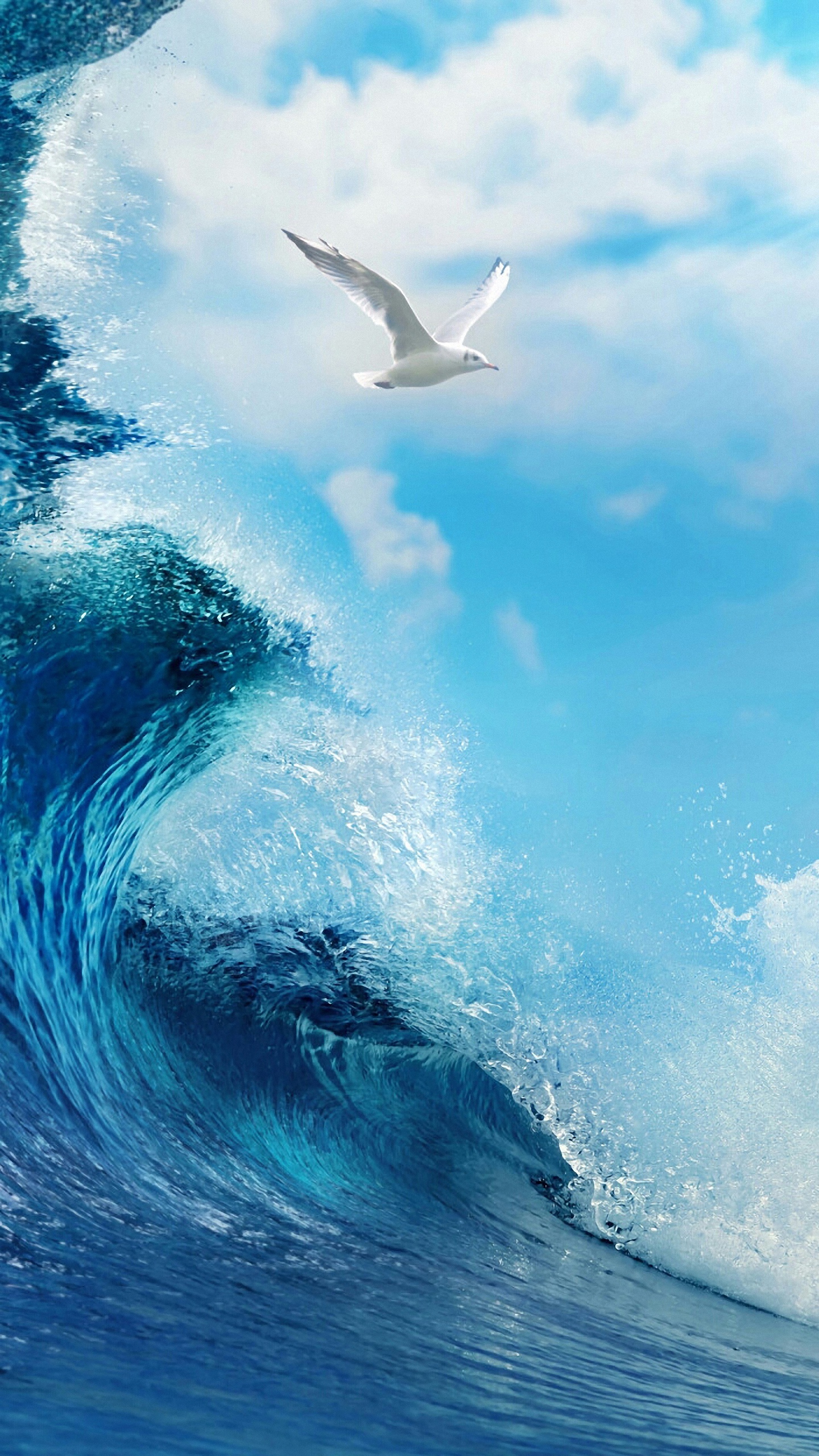 sfondo di lg g4,onda,onda del vento,acqua,oceano,mare