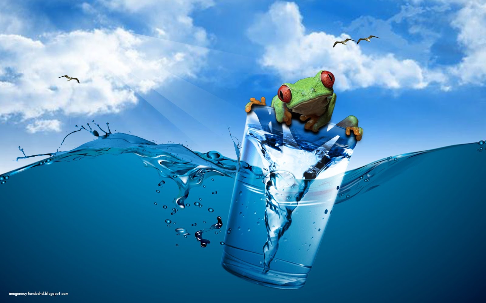 fondo de pantalla agua,agua,deporte extremo,mundo,líquido,ilustración