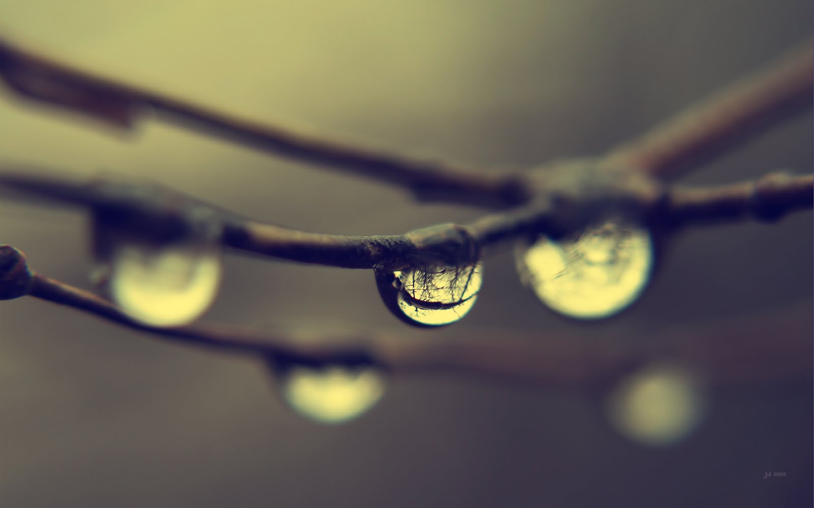 papier peint agua,laissez tomber,humidité,l'eau,rosée,la nature