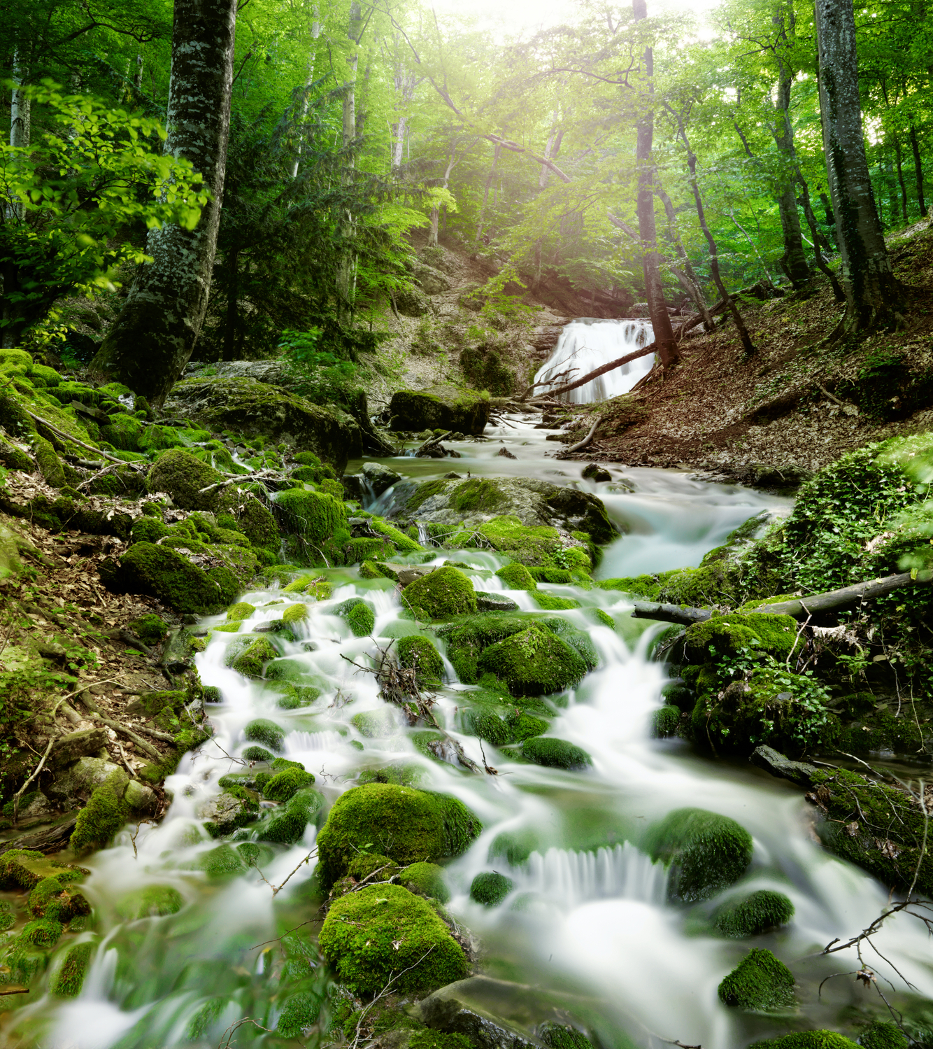 carta da parati agua,risorse idriche,paesaggio naturale,corpo d'acqua,ruscello,natura