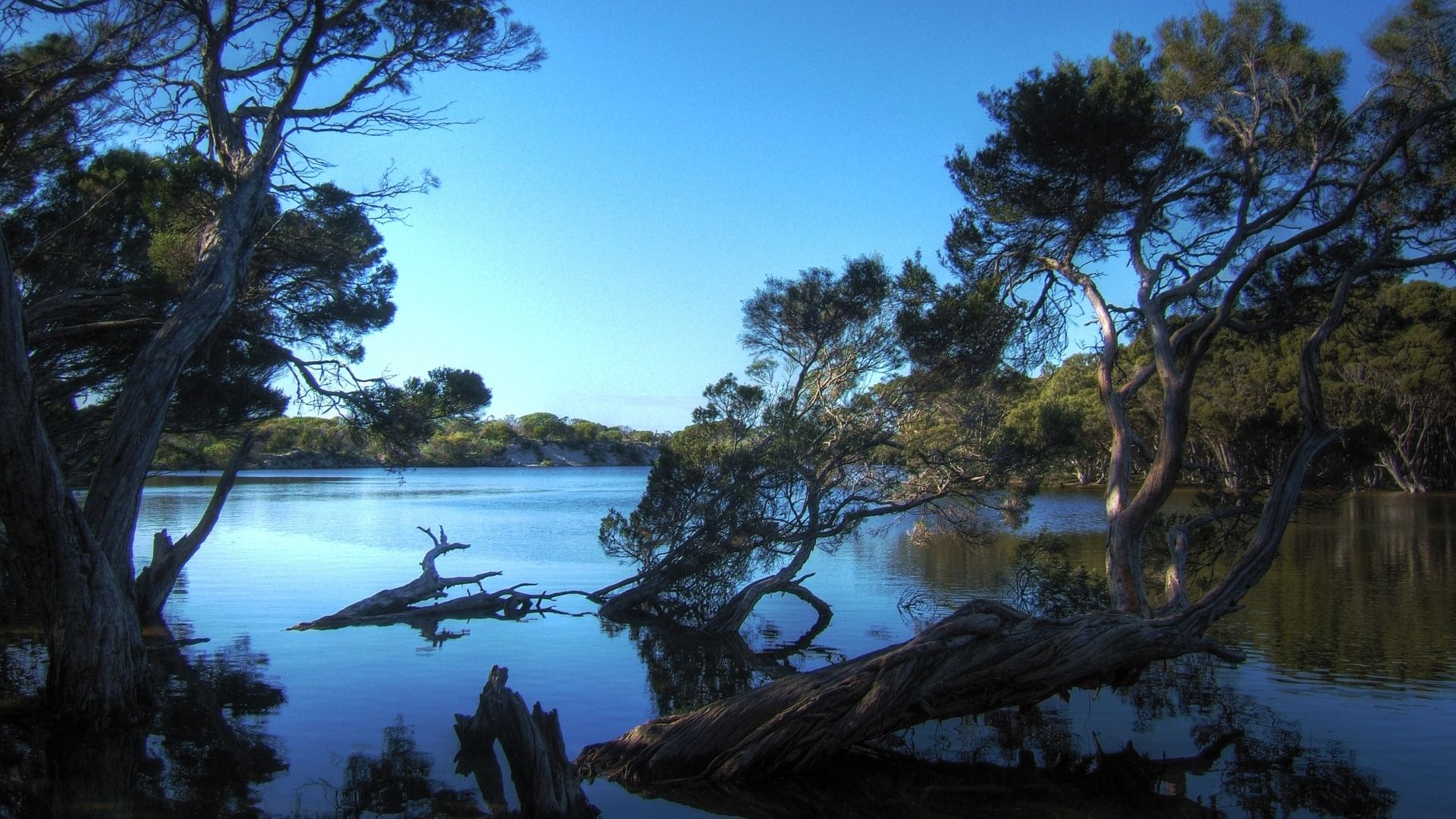 fondo de pantalla hd para escritorio a pantalla completa 1080p,naturaleza,paisaje natural,árbol,agua,cielo