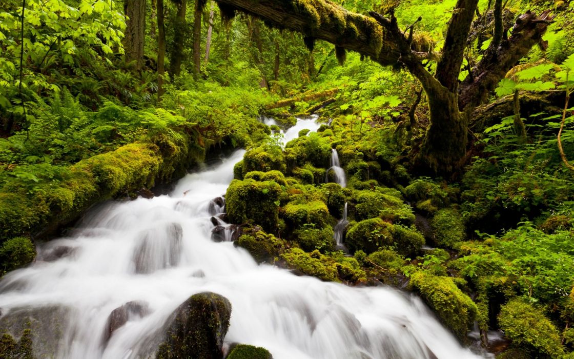 壁紙agua,水域,水資源,自然の風景,自然,ストリーム