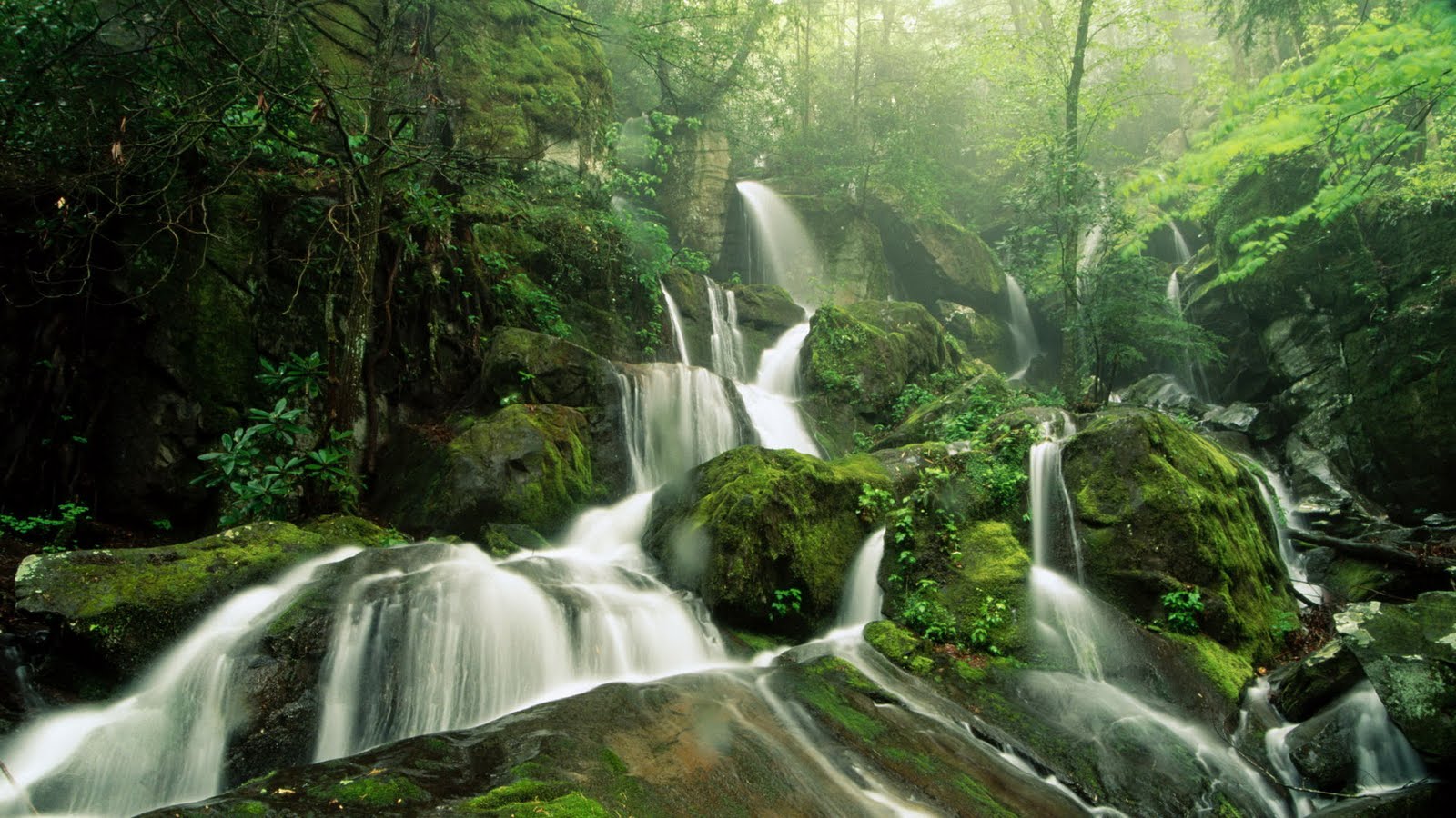 fondos de pantalla hd 1080p de pantalla ancha,cascada,recursos hídricos,cuerpo de agua,paisaje natural,naturaleza