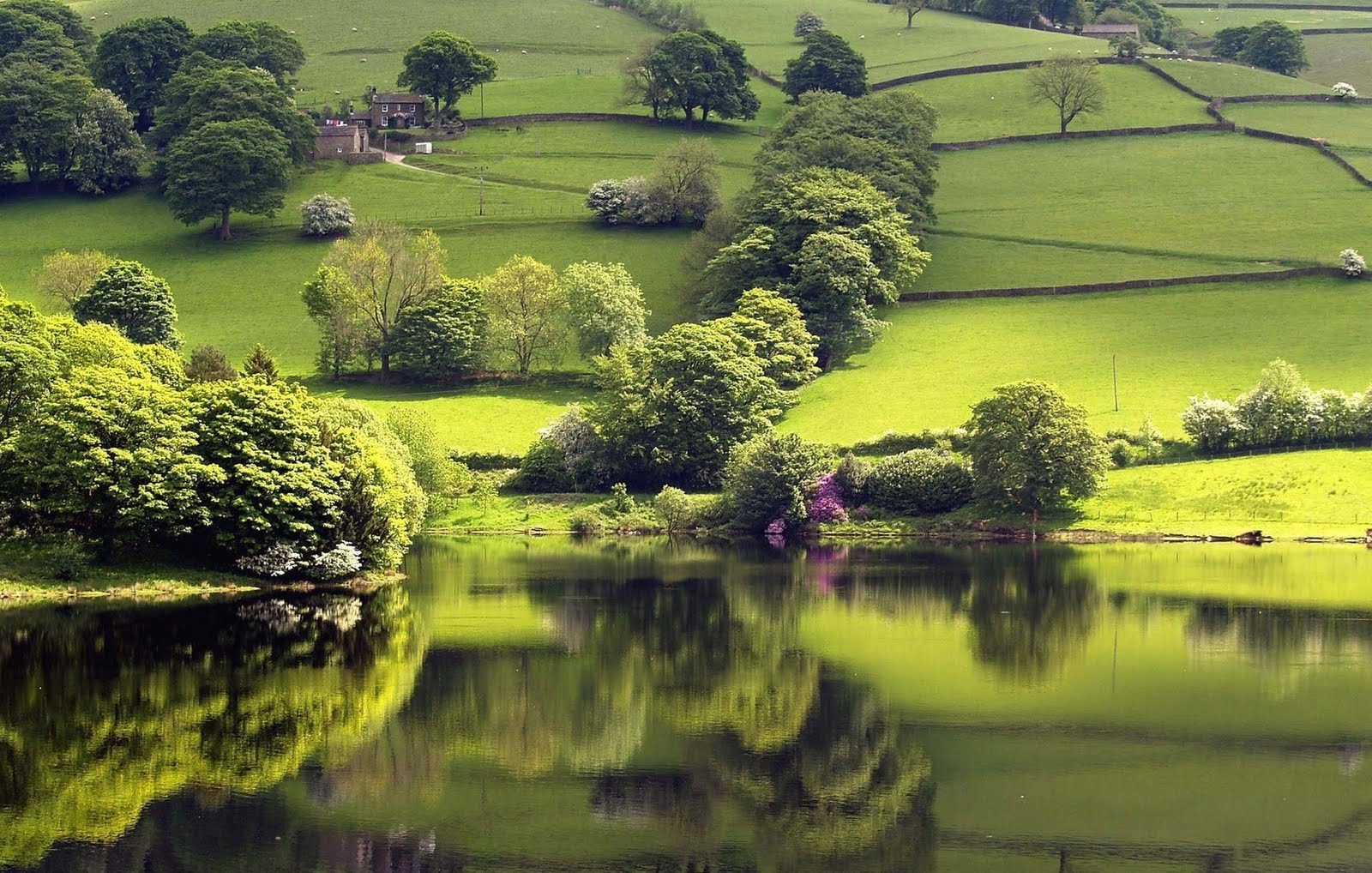 hq wallpaper,natural landscape,nature,green,vegetation,reflection