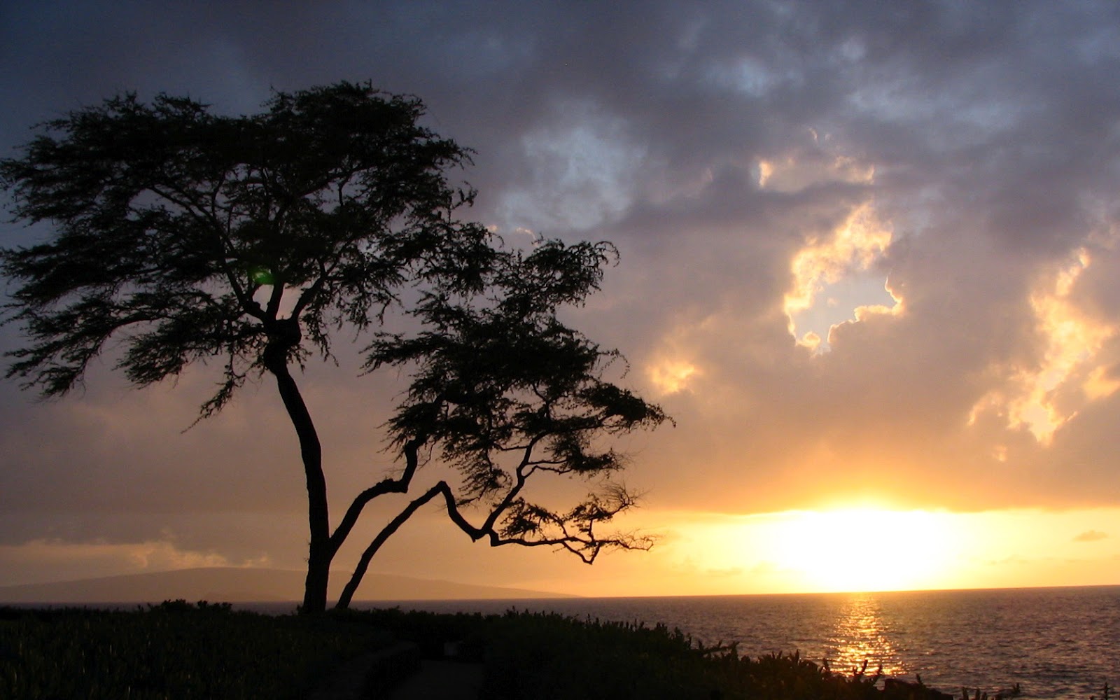 hq wallpaper,sky,nature,tree,cloud,natural landscape