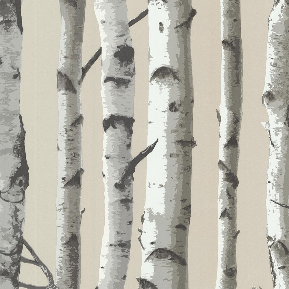 Birch Tree Wallpaper Uk- WallpaperUse