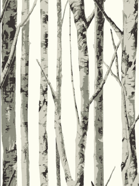 birch tree wallpaper,tree,canoe birch,birch,woody plant,trunk