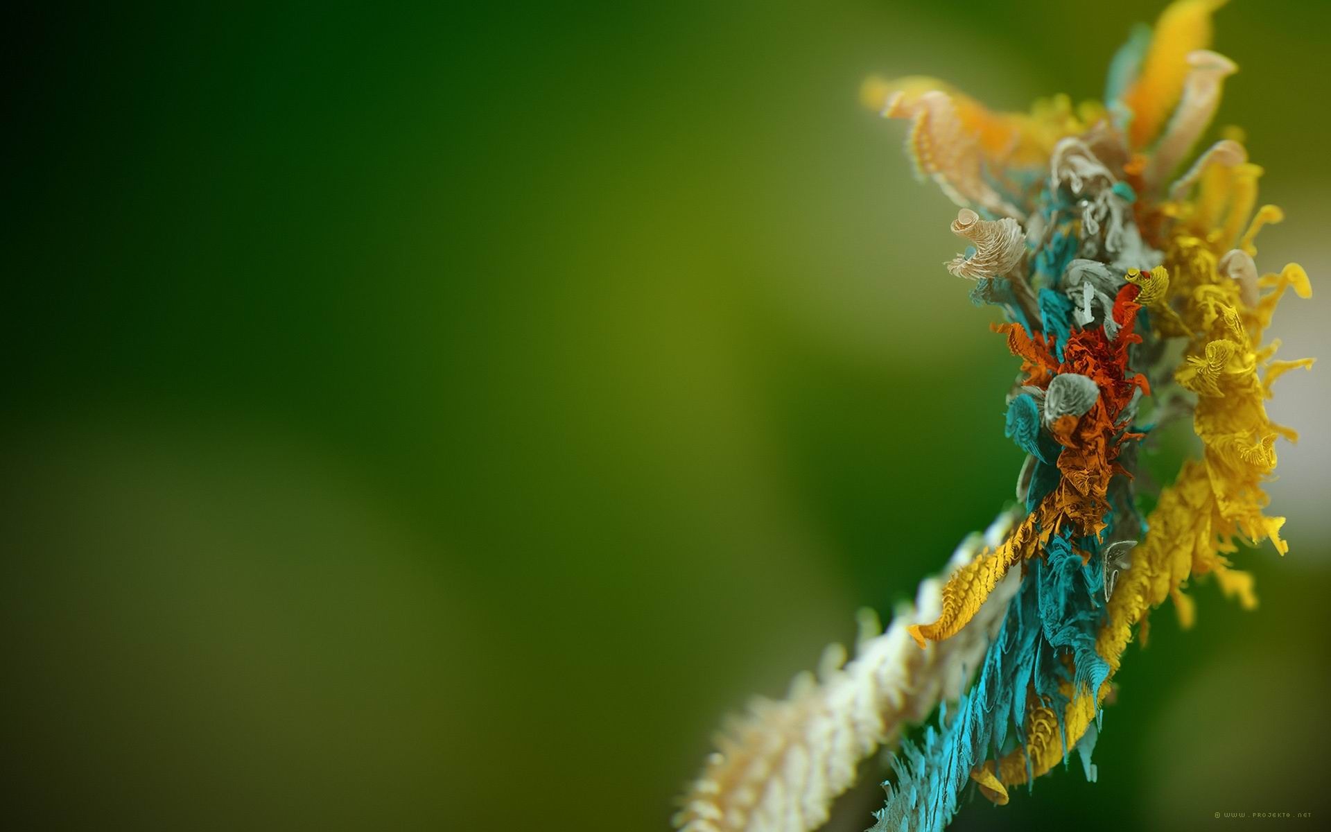 nuevo fondo de pantalla de diseño,fotografía macro,naturaleza,verde,de cerca,hoja