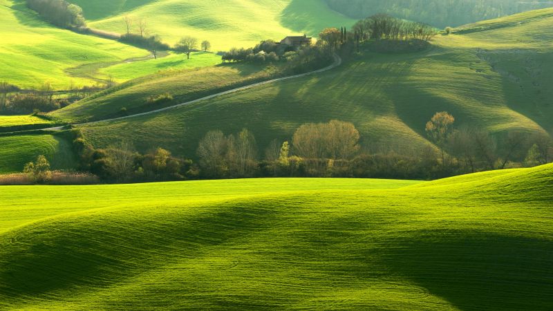 8k wallpaper for mobile,natural landscape,grassland,green,nature,field