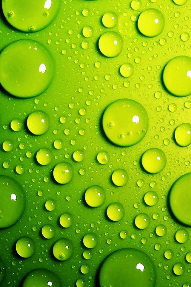 grünes iphone wallpaper,grün,fallen,wasser,tau,blatt