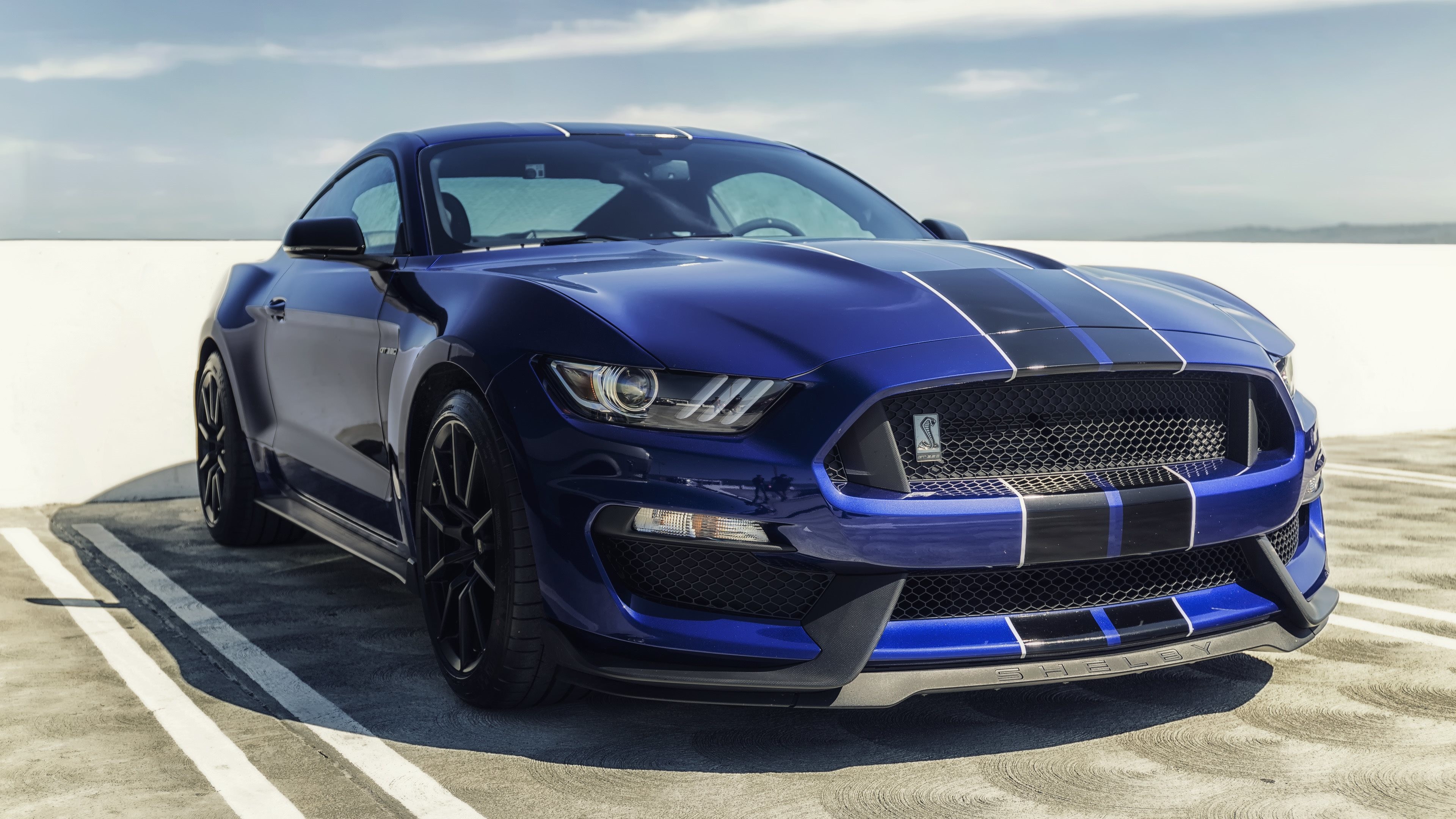 mustang wallpaper,land vehicle,vehicle,car,shelby mustang,hood